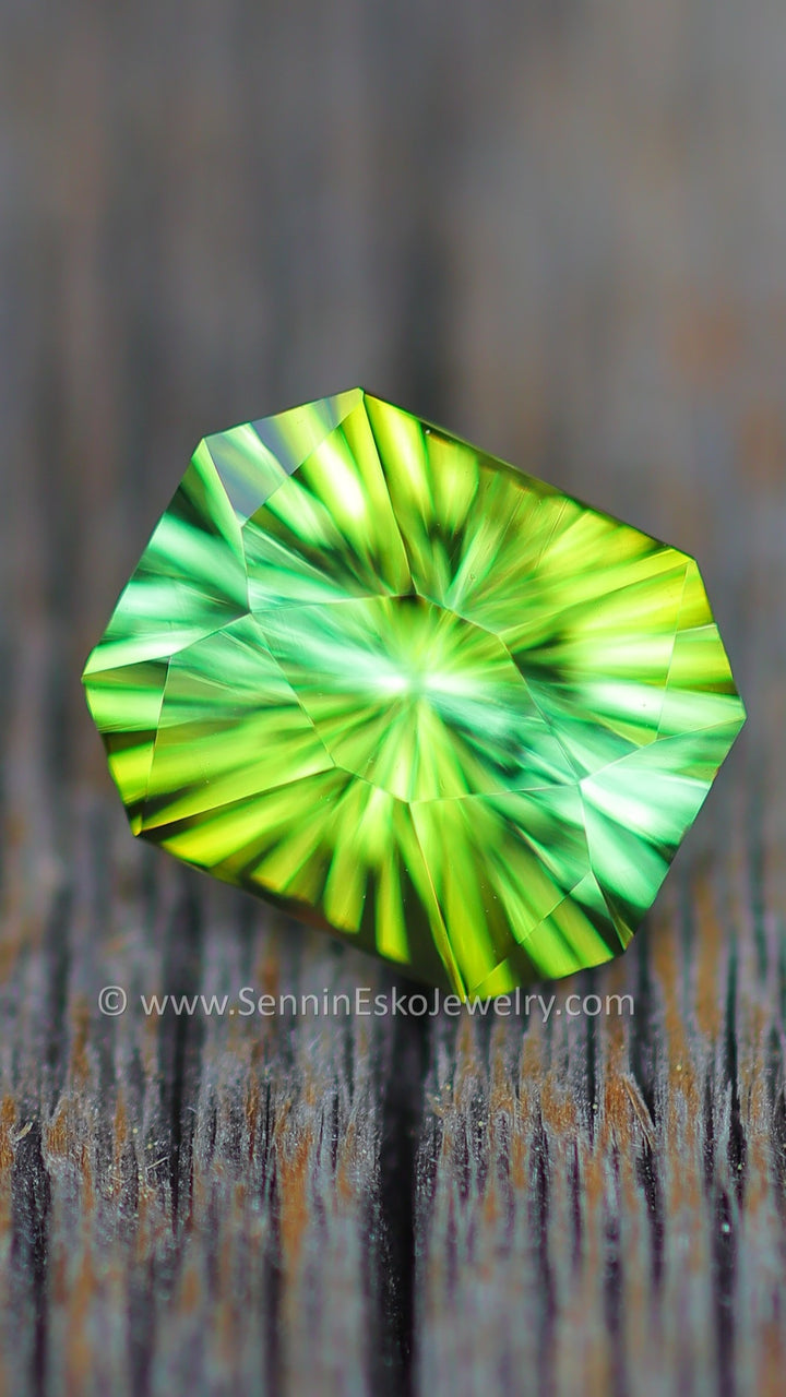 2.7 Carat Bi Color Tourmaline - 9.2x7.6mm - Esko Universe Cut ™