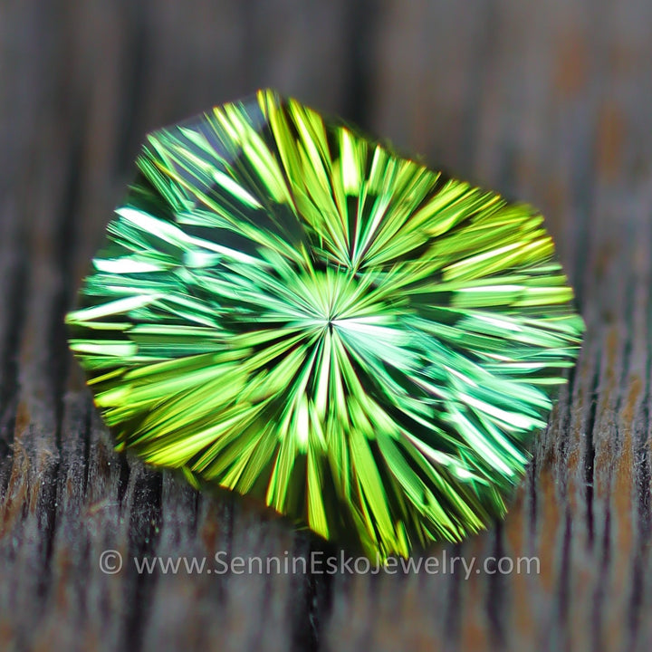 2.7 Carat Bi Color Tourmaline - 9.2x7.6mm - Esko Universe Cut ™