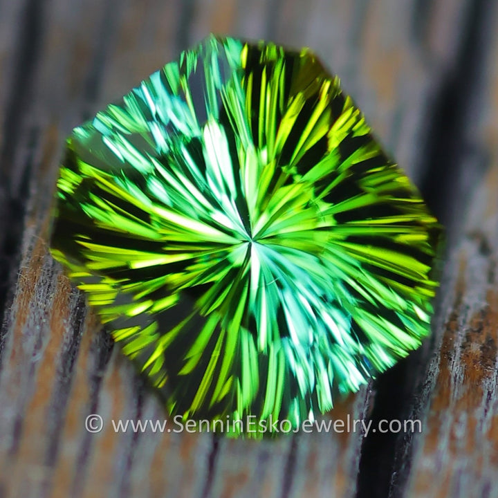 1.2 Carat Bi Color Bottle Green Tourmaline - 7.1x6.3 - Esko Universe Cut ™