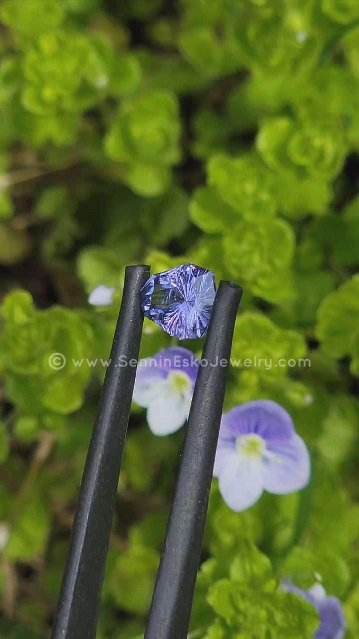 1.2 Carat Indigo Sapphire Arrowhead - 7.2x5.8mm - Esko Universe Cut ™