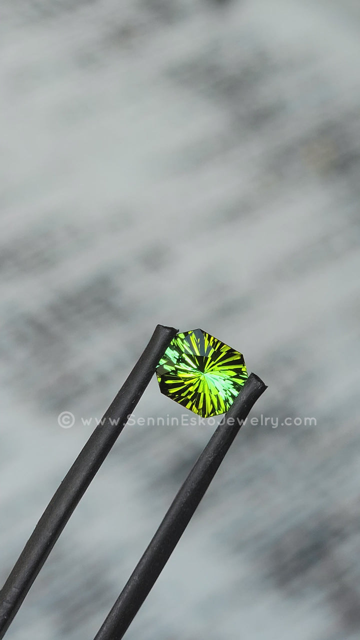 1.2 Carat Bi Color Bottle Green Tourmaline - 7.1x6.3 - Esko Universe Cut ™