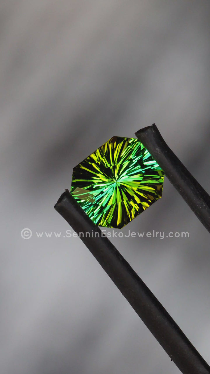 1.2 Carat Bi Color Bottle Green Tourmaline - 7.1x6.3 - Esko Universe Cut ™