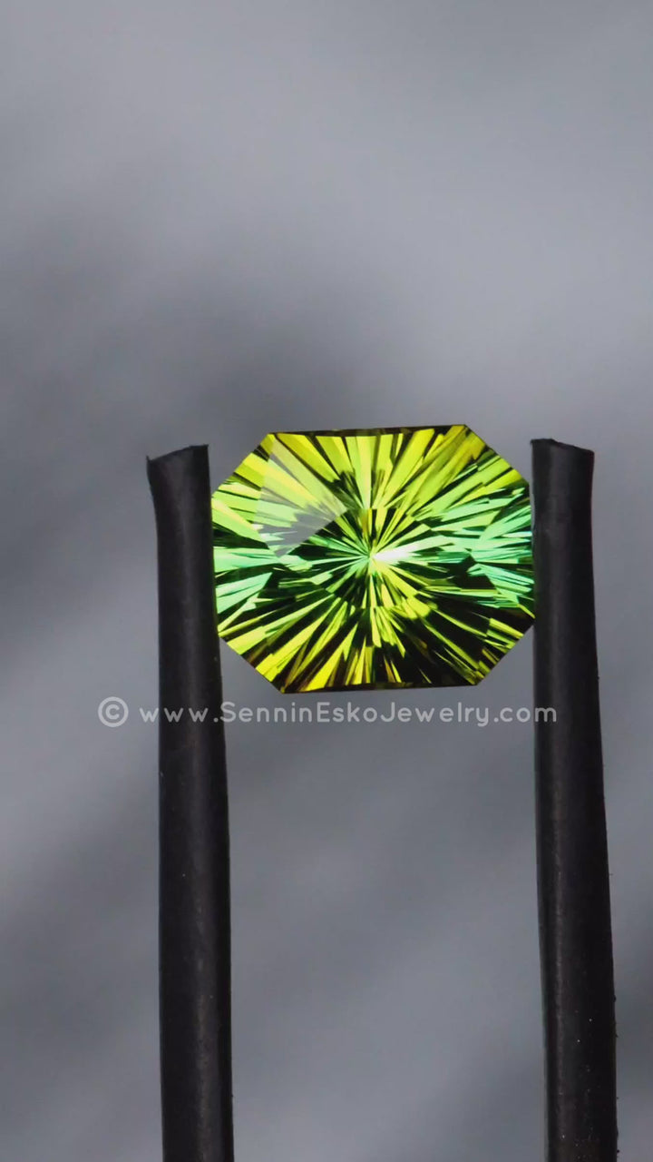 2.7 Carat Bi Color Tourmaline - 9.2x7.6mm - Esko Universe Cut ™