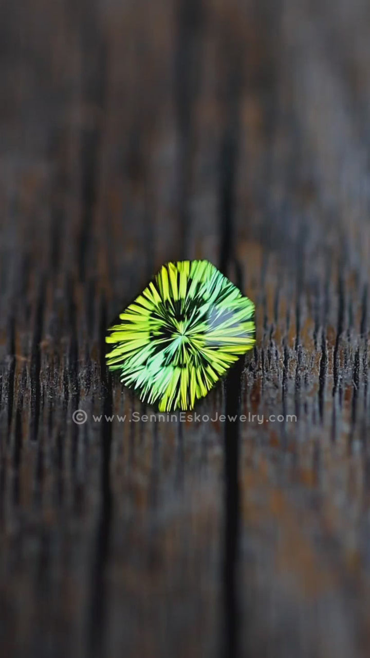 2.7 Carat Bi Color Tourmaline - 9.2x7.6mm - Esko Universe Cut ™