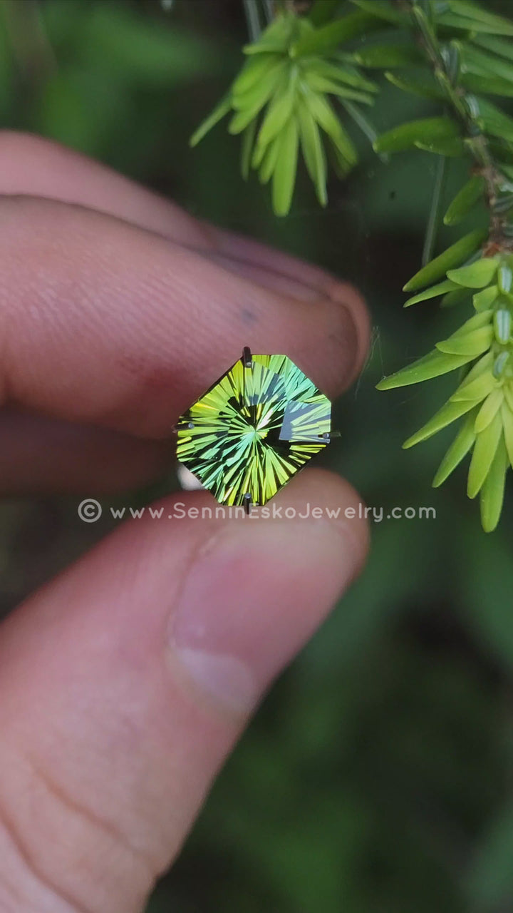 2.7 Carat Bi Color Tourmaline - 9.2x7.6mm - Esko Universe Cut ™