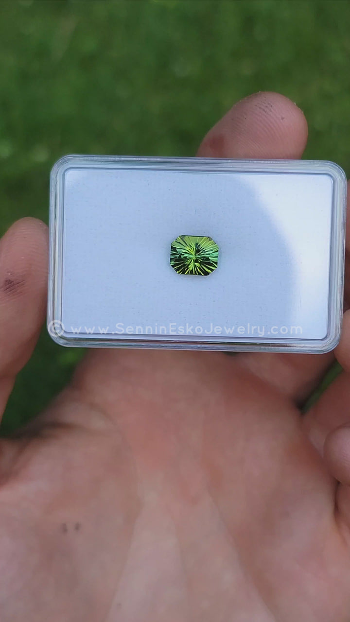 2.7 Carat Bi Color Tourmaline - 9.2x7.6mm - Esko Universe Cut ™