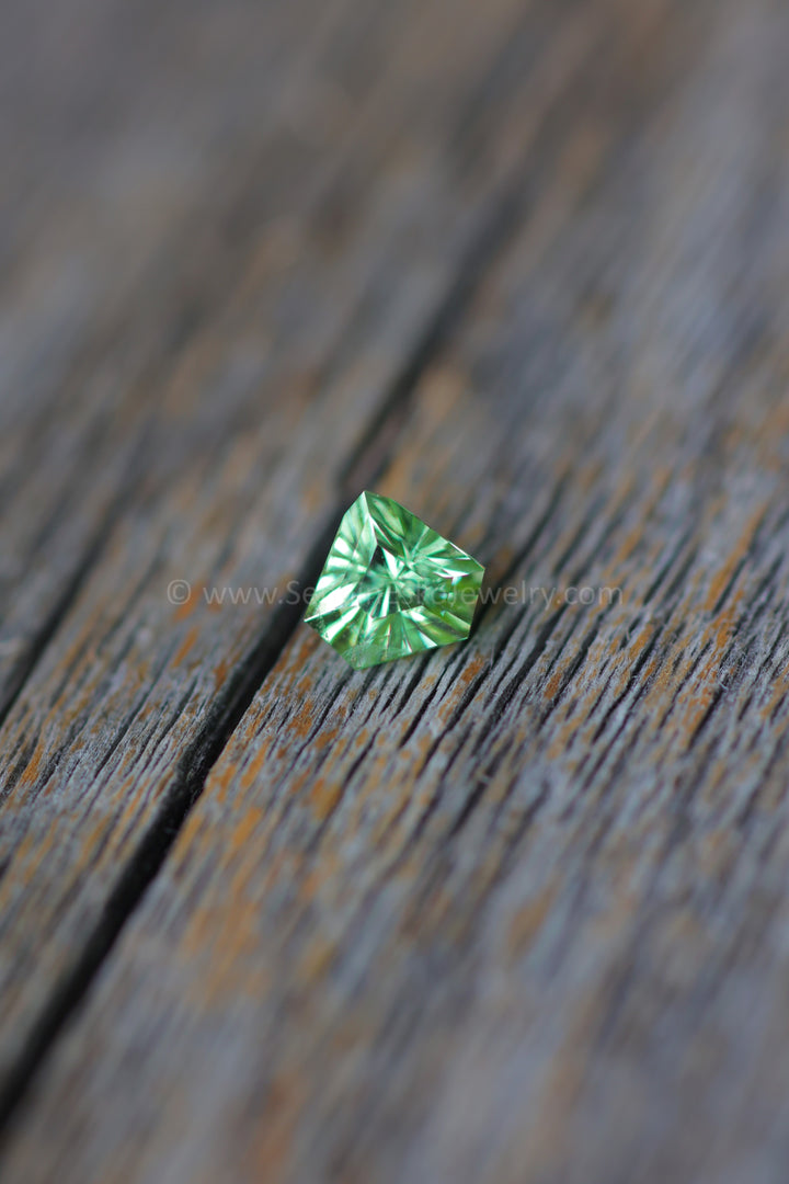 0.9 Carat Merelani Mint Garnet Triangle -  6.5x5.9mm - Galaxy Cut