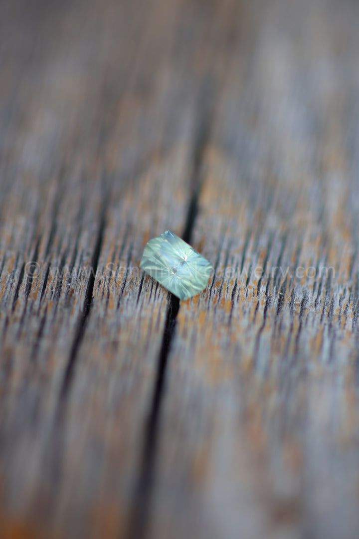 1 Carat Yellow/Green Montana Sapphire Hexagon -  6.8x4.1mm - Galaxy Cut