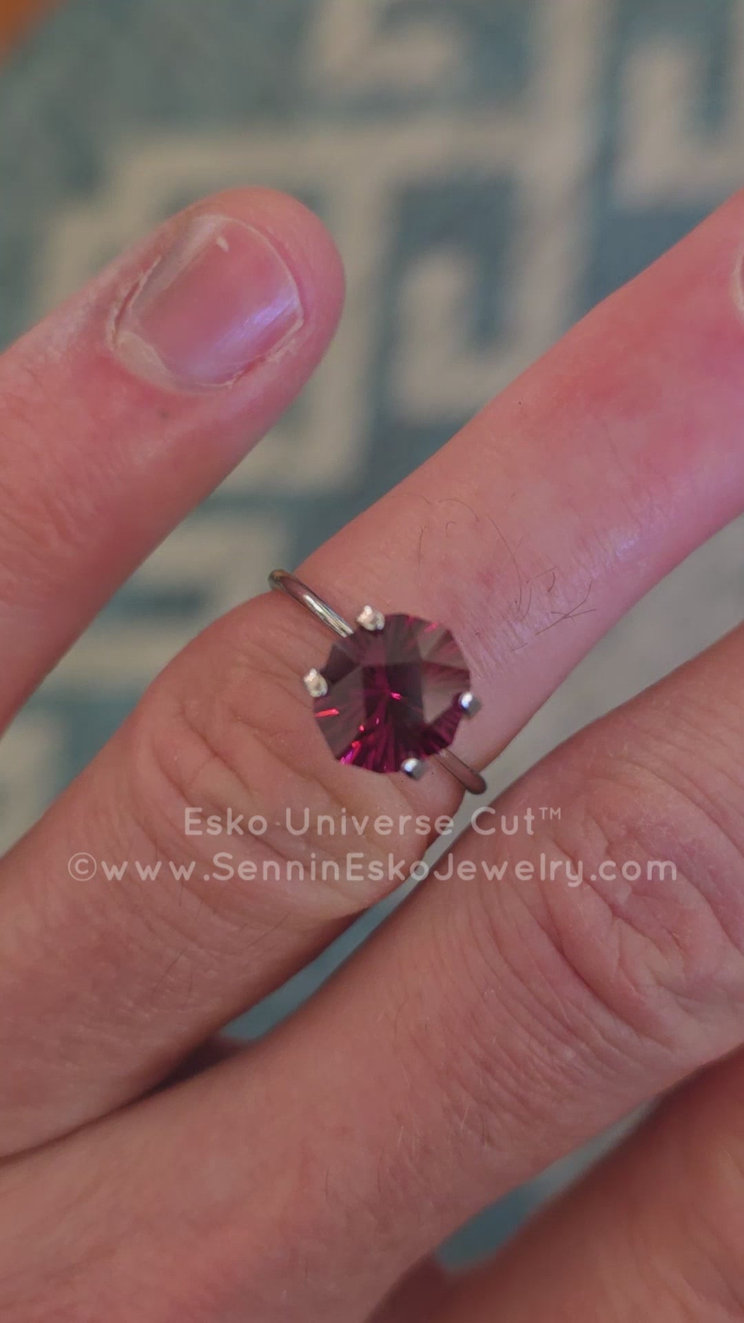 3.2 Carat Malawi Garnet Octagon - 9.5x8.6mm - Esko Universe Cut ™