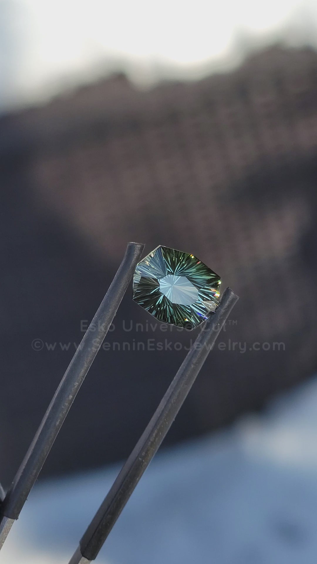 3.9 Carat Spring Green Tourmaline Octagon - 10.6x8.3mm - Esko Universe Cut ™