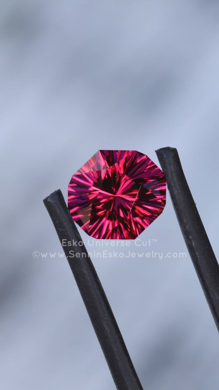 3.2 Carat Malawi Garnet Octagon - 9.5x8.6mm - Esko Universe Cut ™