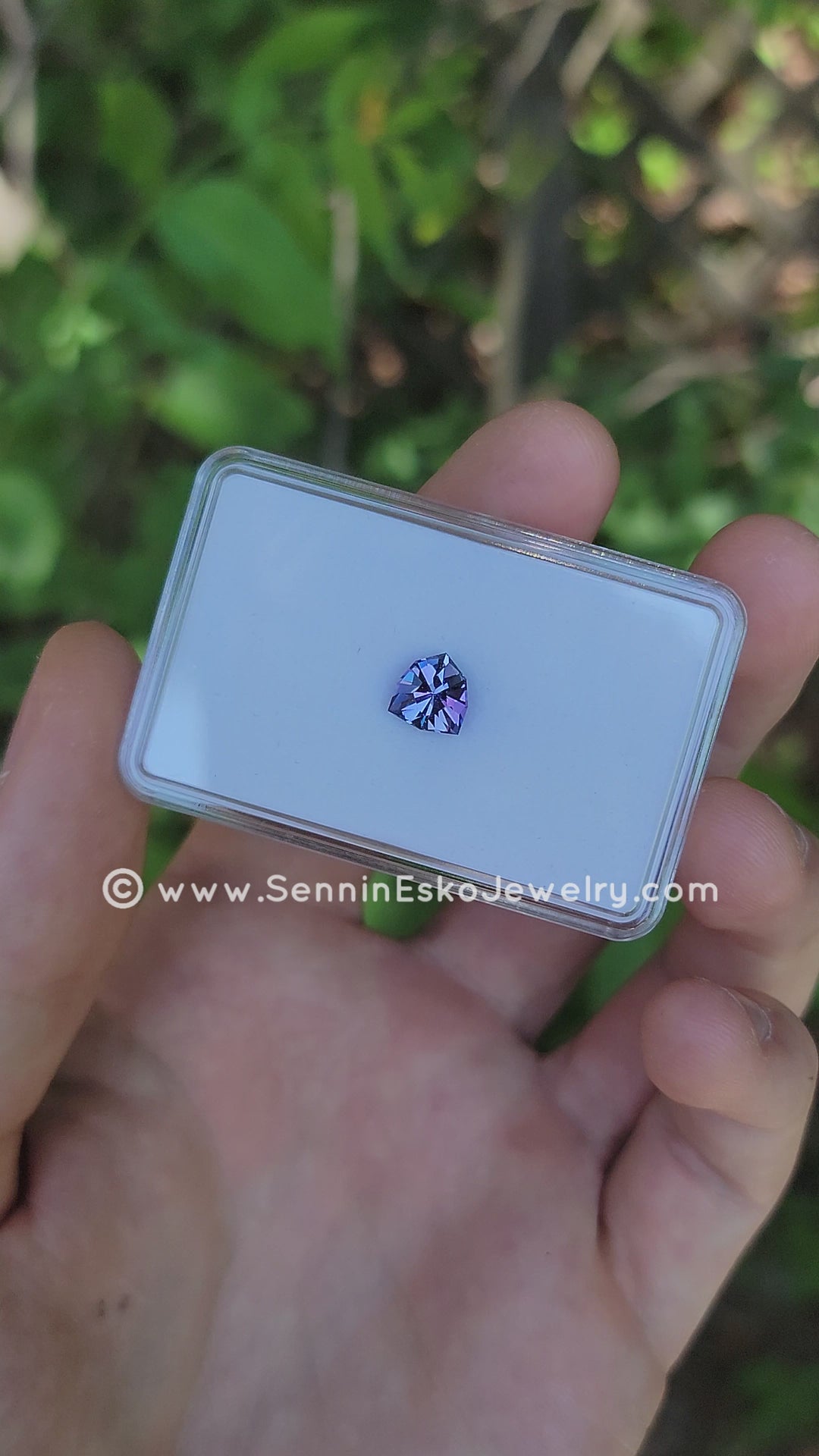2.3 Carat Blue & Purple Tanzanite Shield - 8.1x7.5mm - Unheated - Specialty Cut