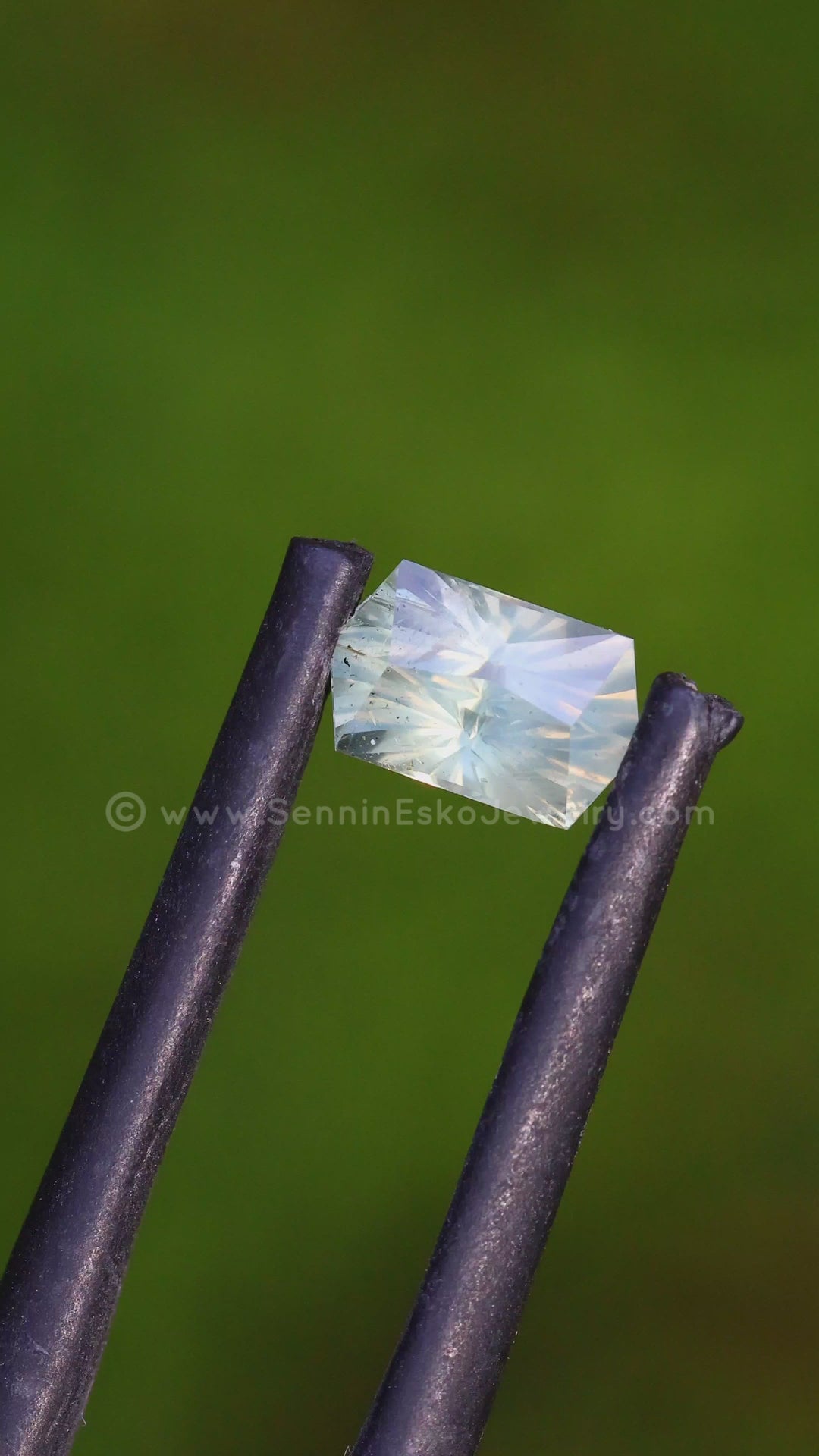 1 Carat Yellow/Green Montana Sapphire Octagon -  6.8x4.1mm - Galaxy Cut - Fantasy Cut