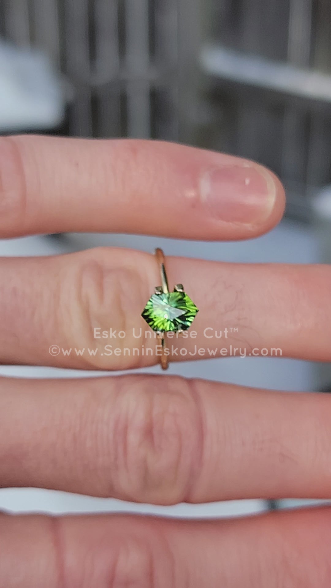 1.7 Carat Mint Green Tourmaline Hexagon - 8.7x5.9mm - Esko Universe Cut ™