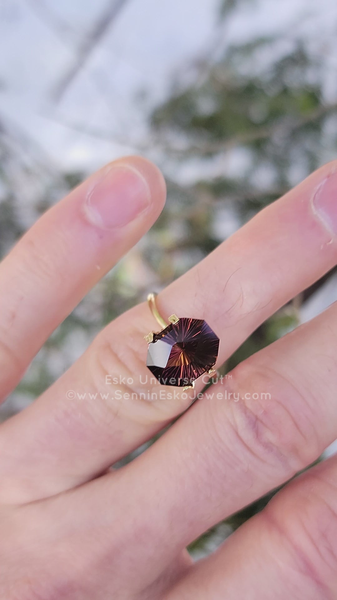 5.8 Carat Rubellite Tourmaline Rectangular Octagon - 11.9x9.4mm - Esko Universe Cut ™