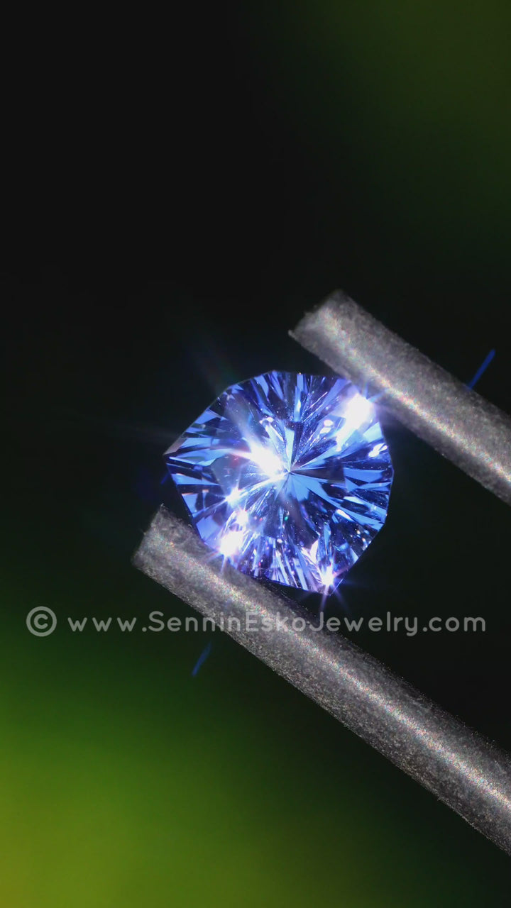 1.1 Carat Blurple Tanzanite Trillion - Heated -  Fantasy Cut