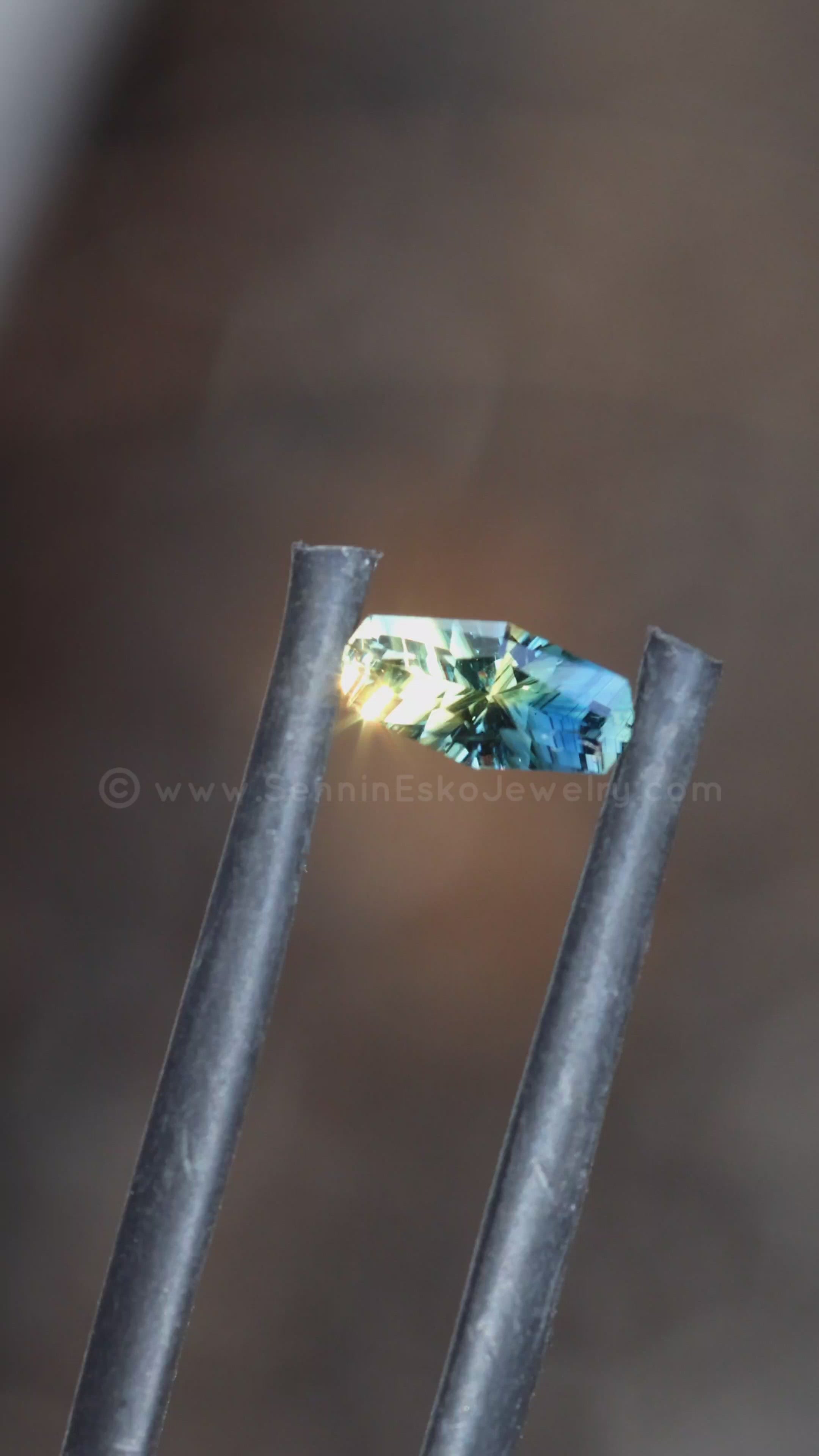 0.45 Carat Parti Sapphire Long Octagon - 6.9x3.3mm - Esko Placid