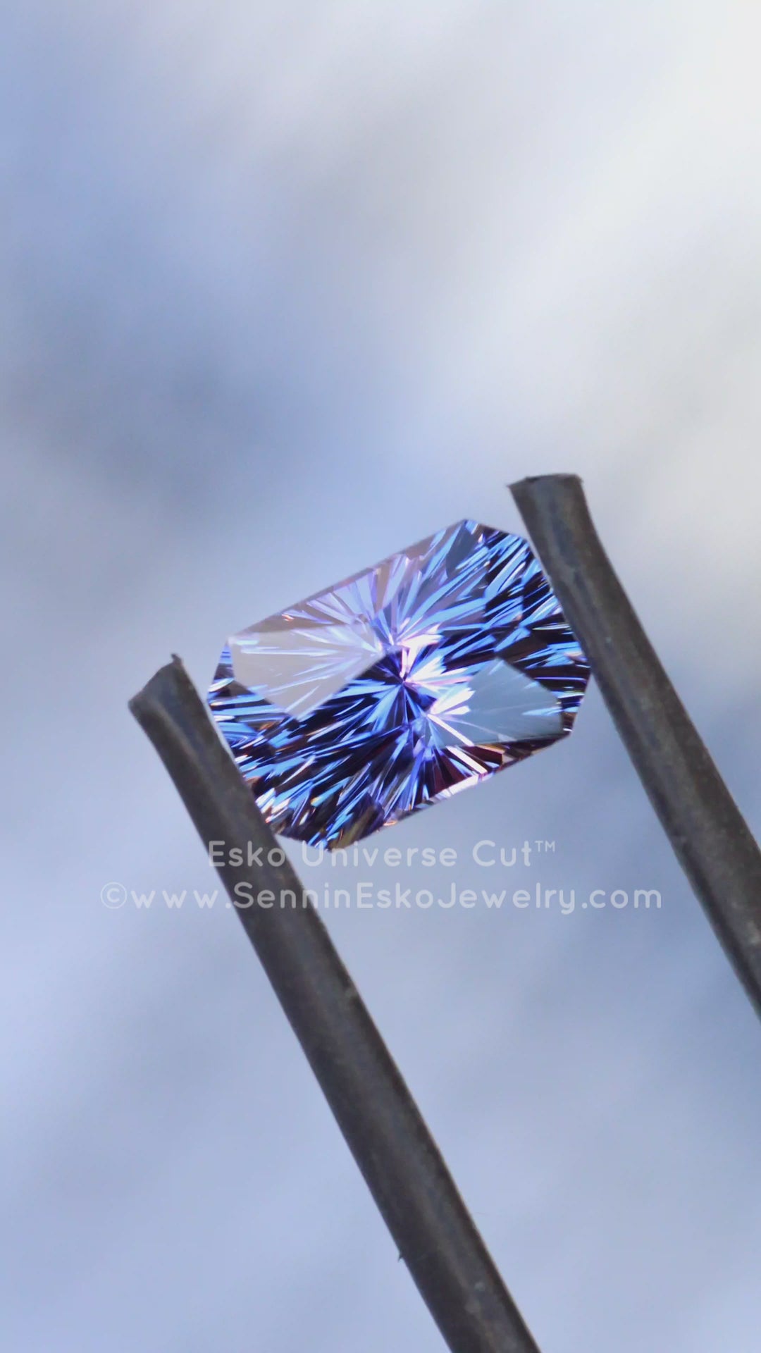 2.94 Carat Indigo Tanzanite Octagon - 9.3x6.2mm - Esko Universe Cut ™