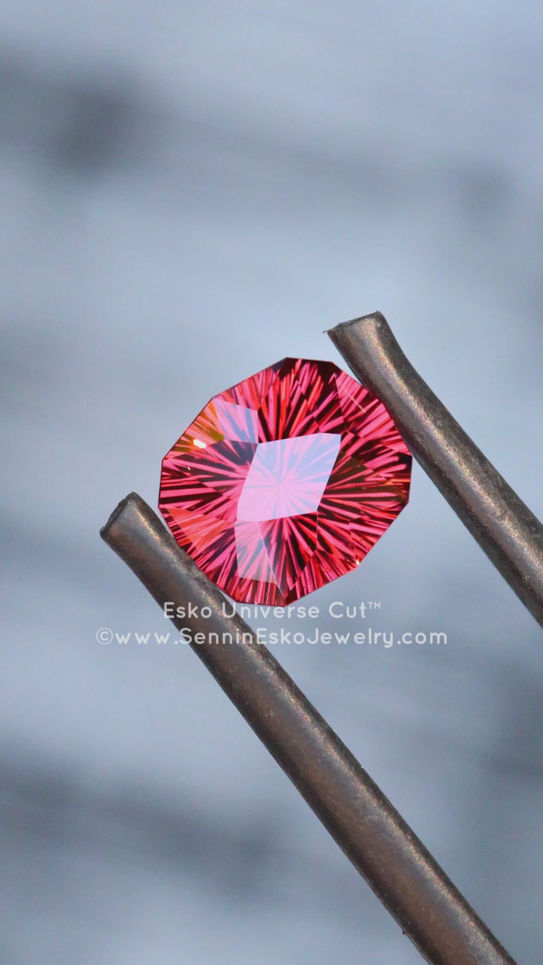 2.22 Carat Raspberry Garnet Cushion - 8.22x7.22mm - Esko Universe Cut ™