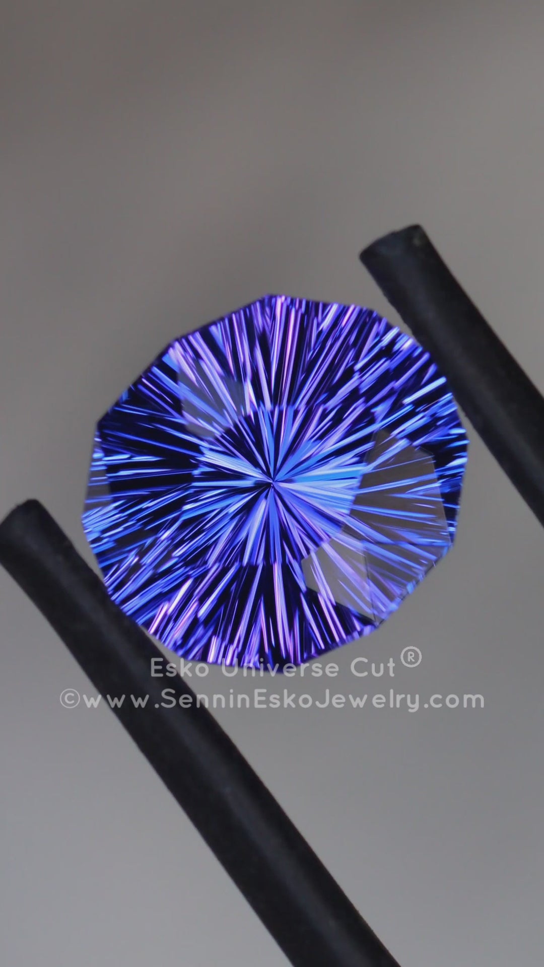 3.3 Carat Blue/Purple Tanzanite Oval - 10.5x9.1mm - Esko Universe Cut ®