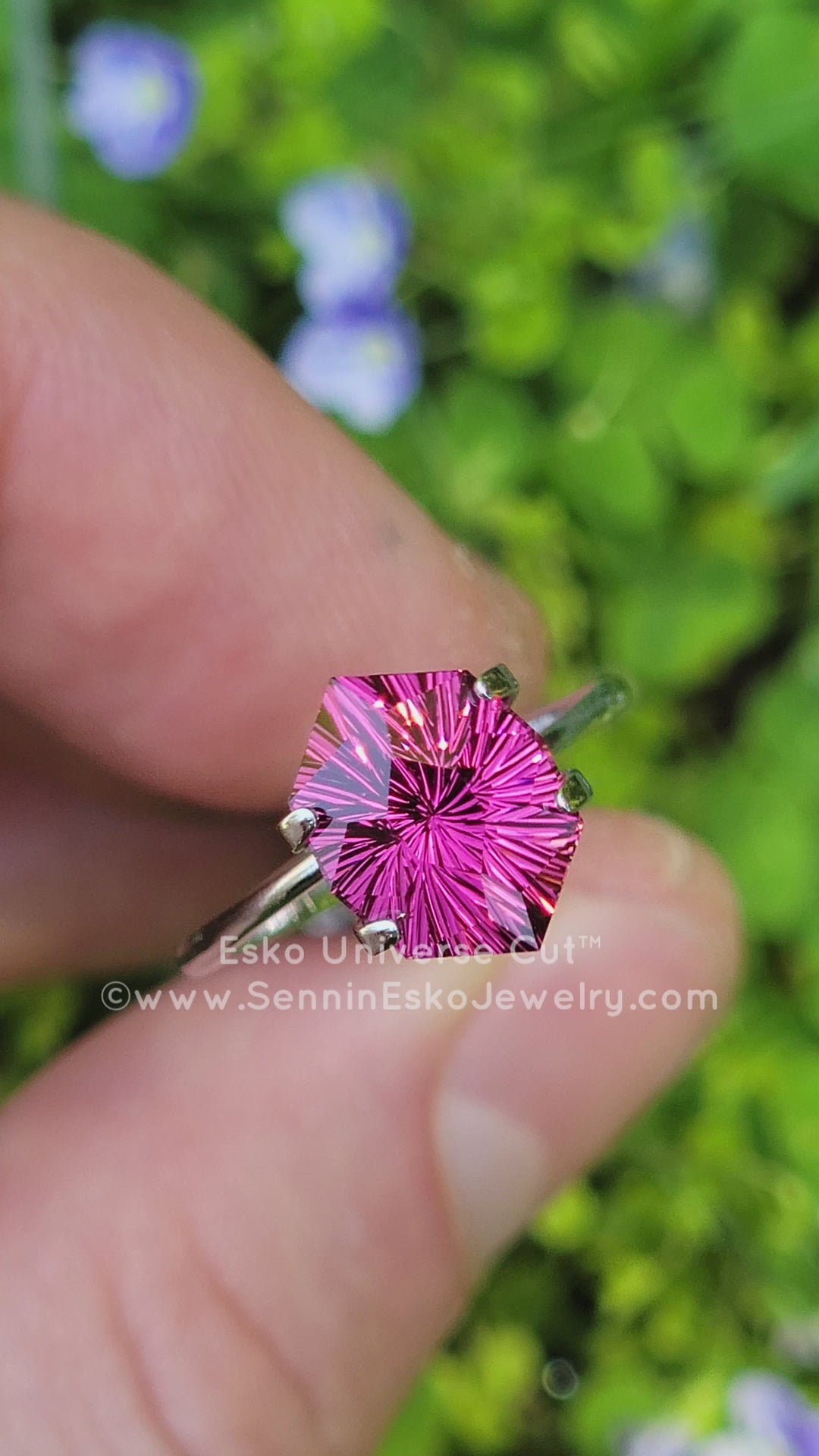 4.6 Carat Garnet Hexagonal Cushion - 11.7x8.8mm - Esko Universe Cut ™
