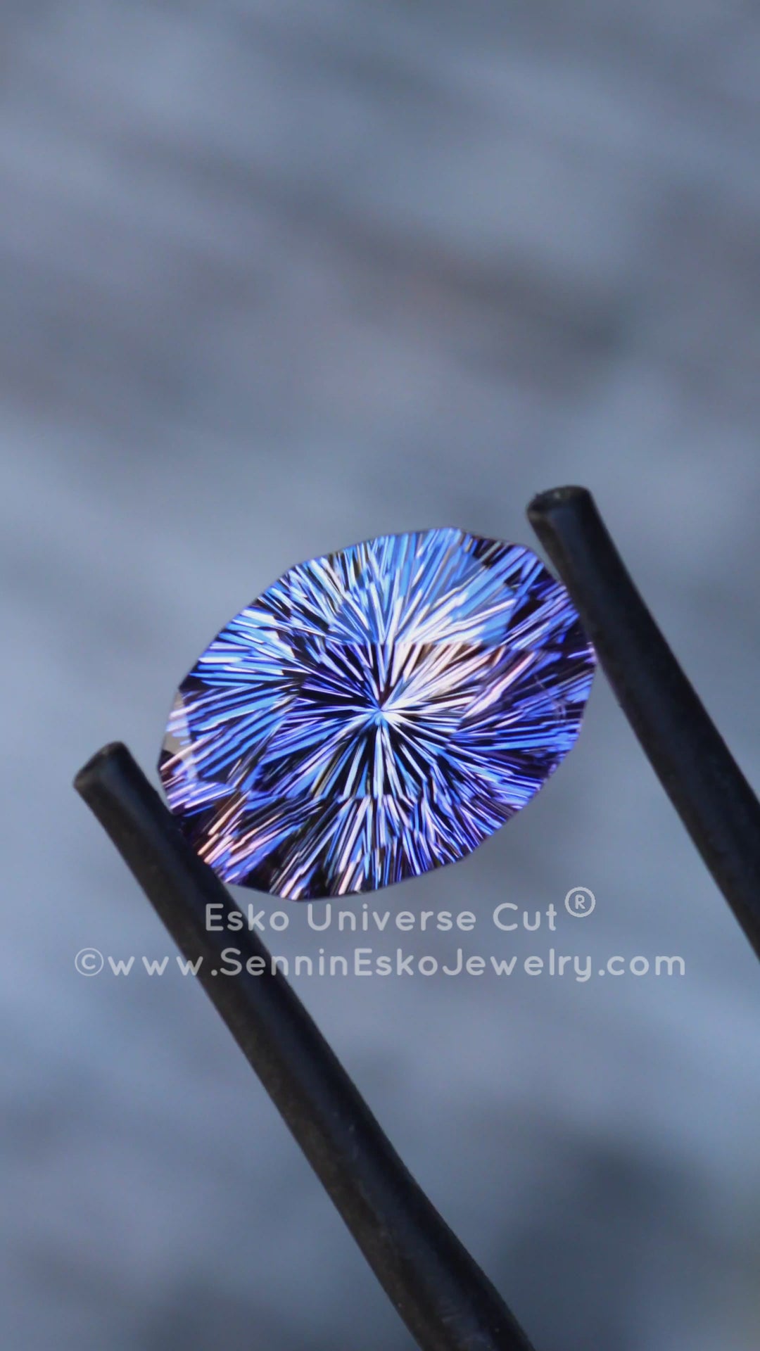 5.79 Carat Tanzanite Oval - 12.6x9.3mm - Esko Universe Cut ®