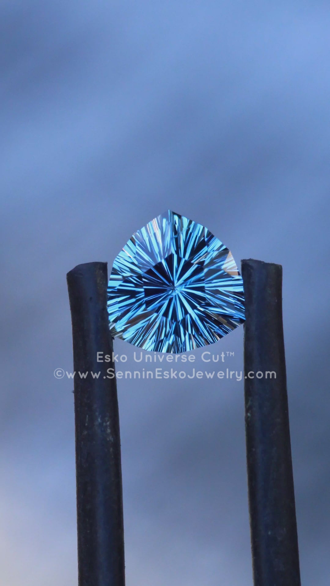 1.2 Carat Violet Sapphire Trillion - 6.6x6.5mm - Esko Universe Cut ™