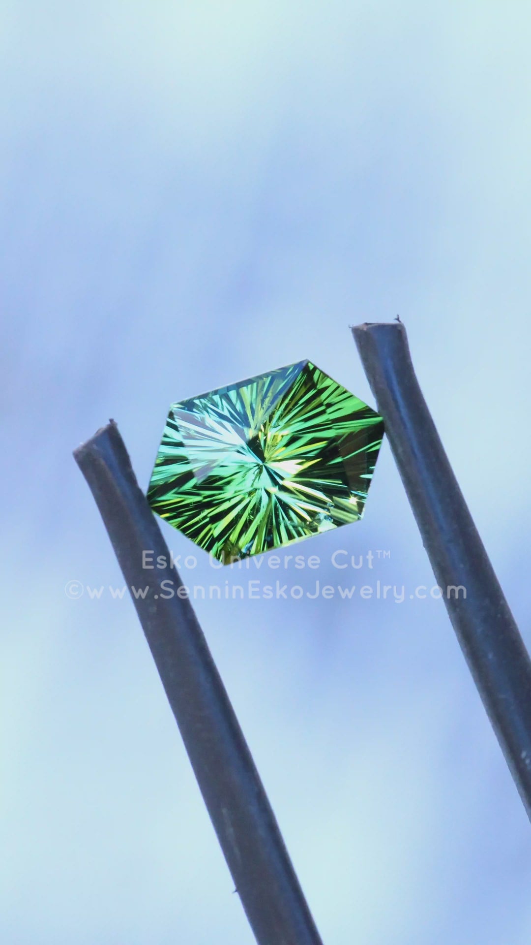 1.7 Carat Mint Green Tourmaline Hexagon - 8.7x5.9mm - Esko Universe Cut ™