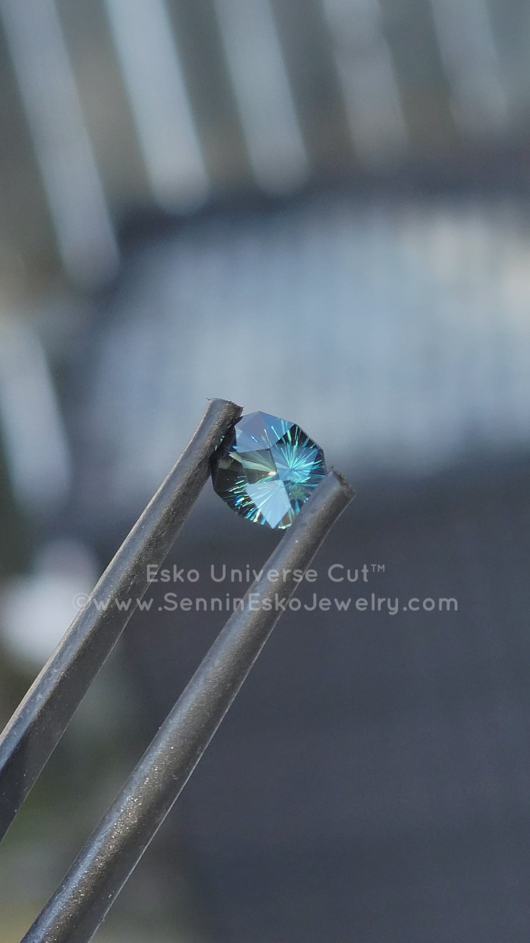 1.33 Carat Deep Parti Sapphire Do-Decagon - 6.6x5.7mm - Esko Universe Cut ™