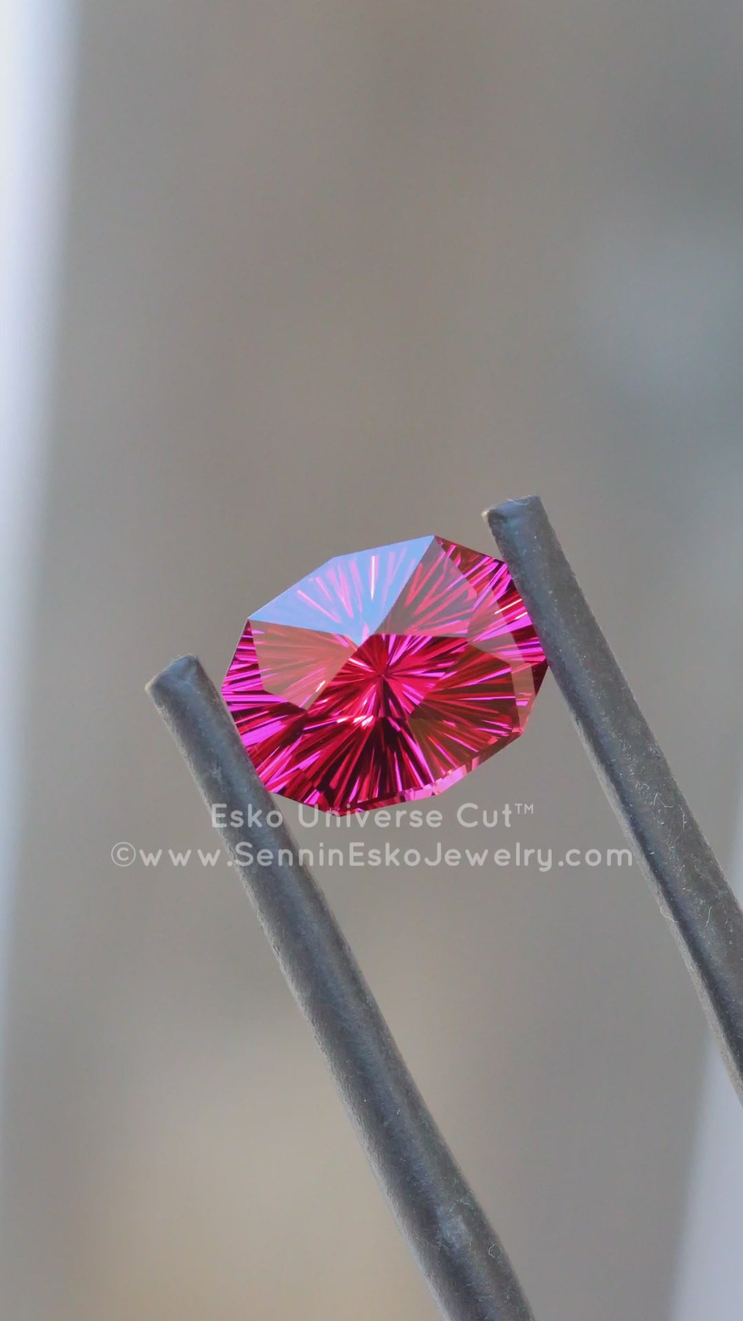 3.3 Carat Garnet Octagonal Cushion - 9.1x7.6mm - Esko Universe Cut ™