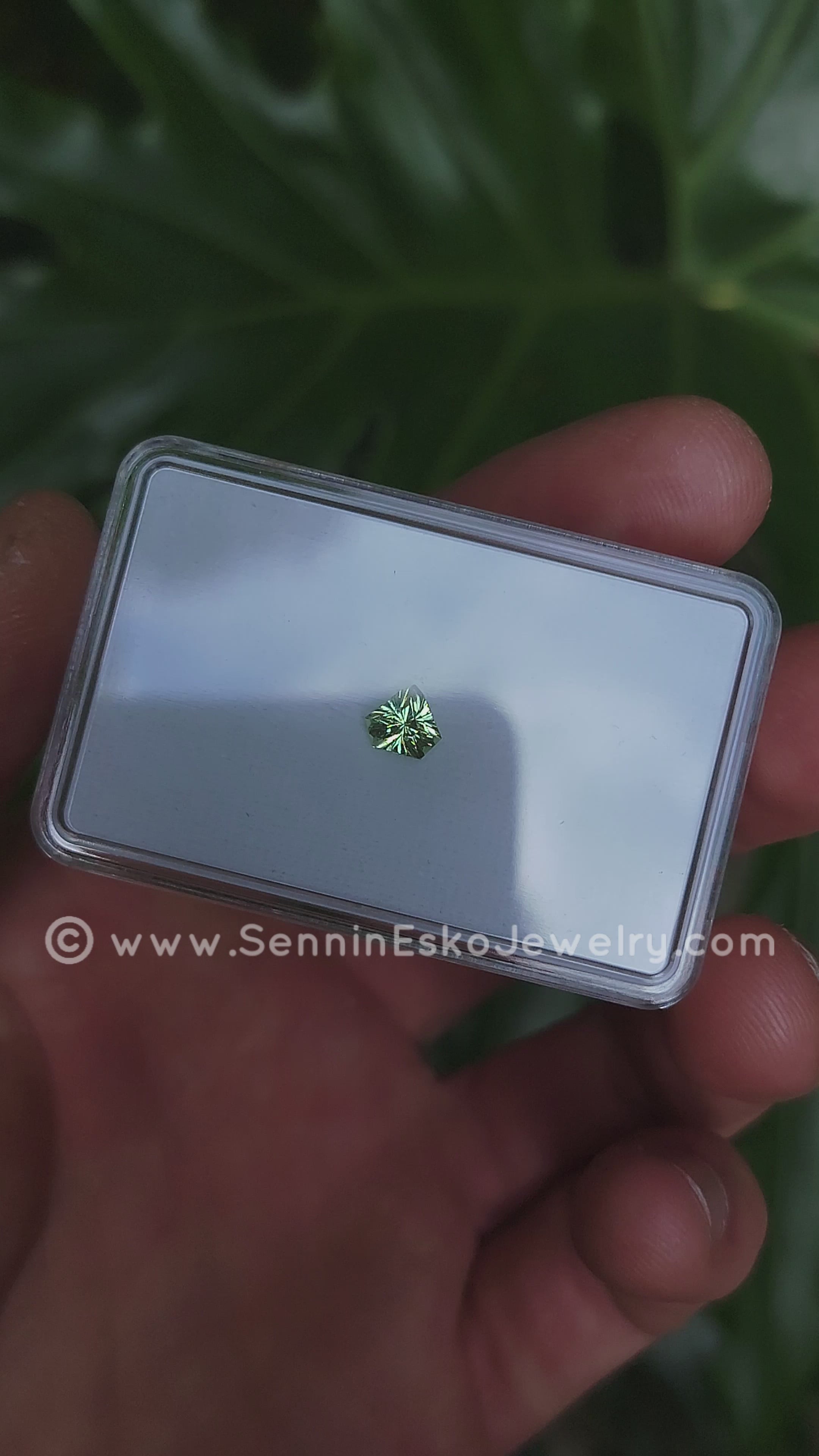 0.9 Carat Merelani Mint Garnet Triangle - 6.5x5.9mm - Galaxy Cut