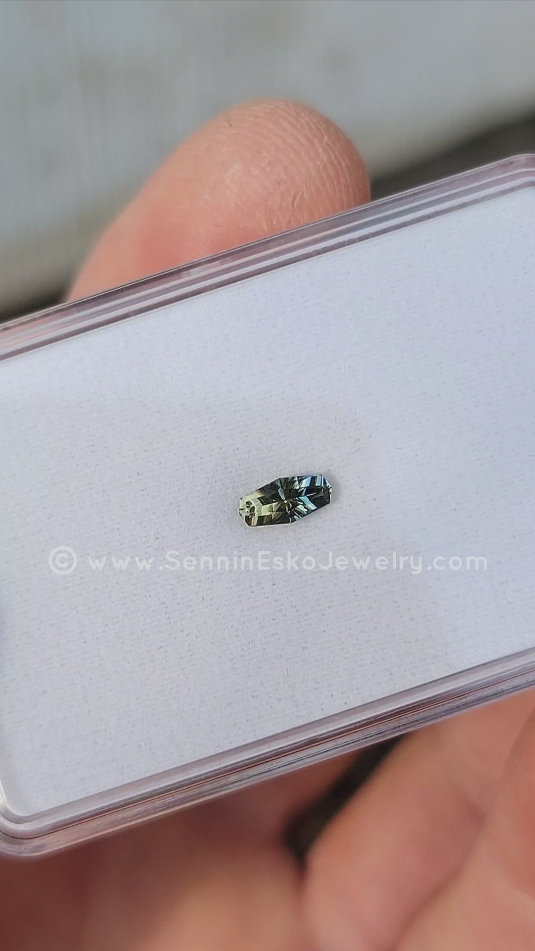 0.45 Carat Parti Sapphire Long Octagon - 6.9x3.3mm - Esko Placid Cut ™