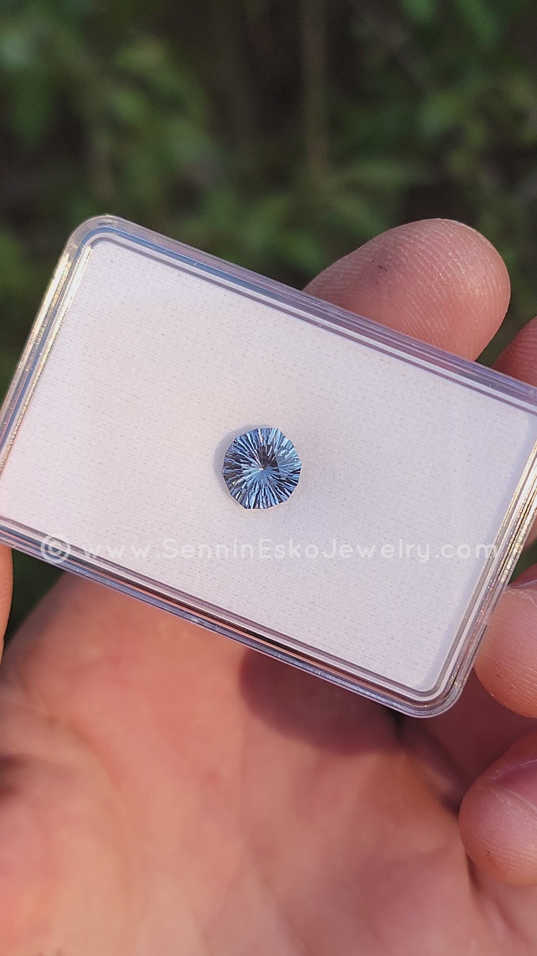 2.7 Carat Silvery Blue Umba Sapphire Dodecagon - 9.5x8.4mm - Galaxy Cut