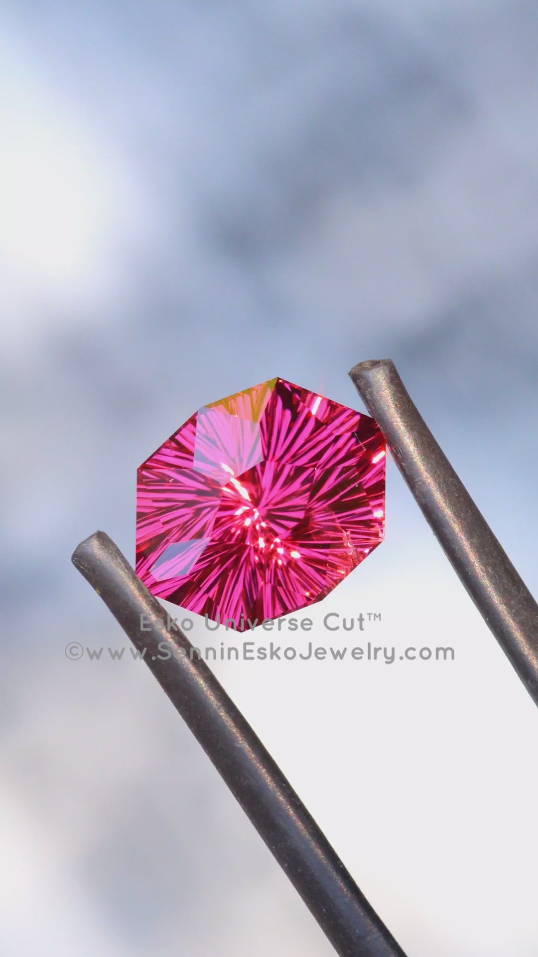 4.6 Carat Garnet Hexagonal Cushion - 11.7x8.8mm - Esko Universe Cut ™