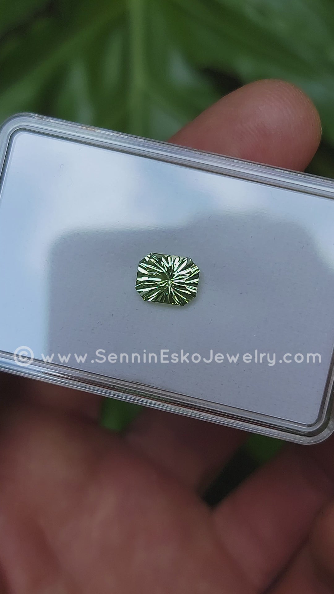 2.1 Carat Mint Beryl Octagon -  8.8x6.9mm - Galaxy Cut