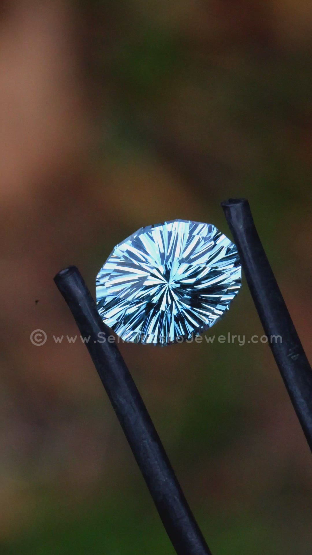 2.9 Carat Icy Blue Aquamarine Dodecagon -  10.7x8.4mm - Esko Universe Cut ™