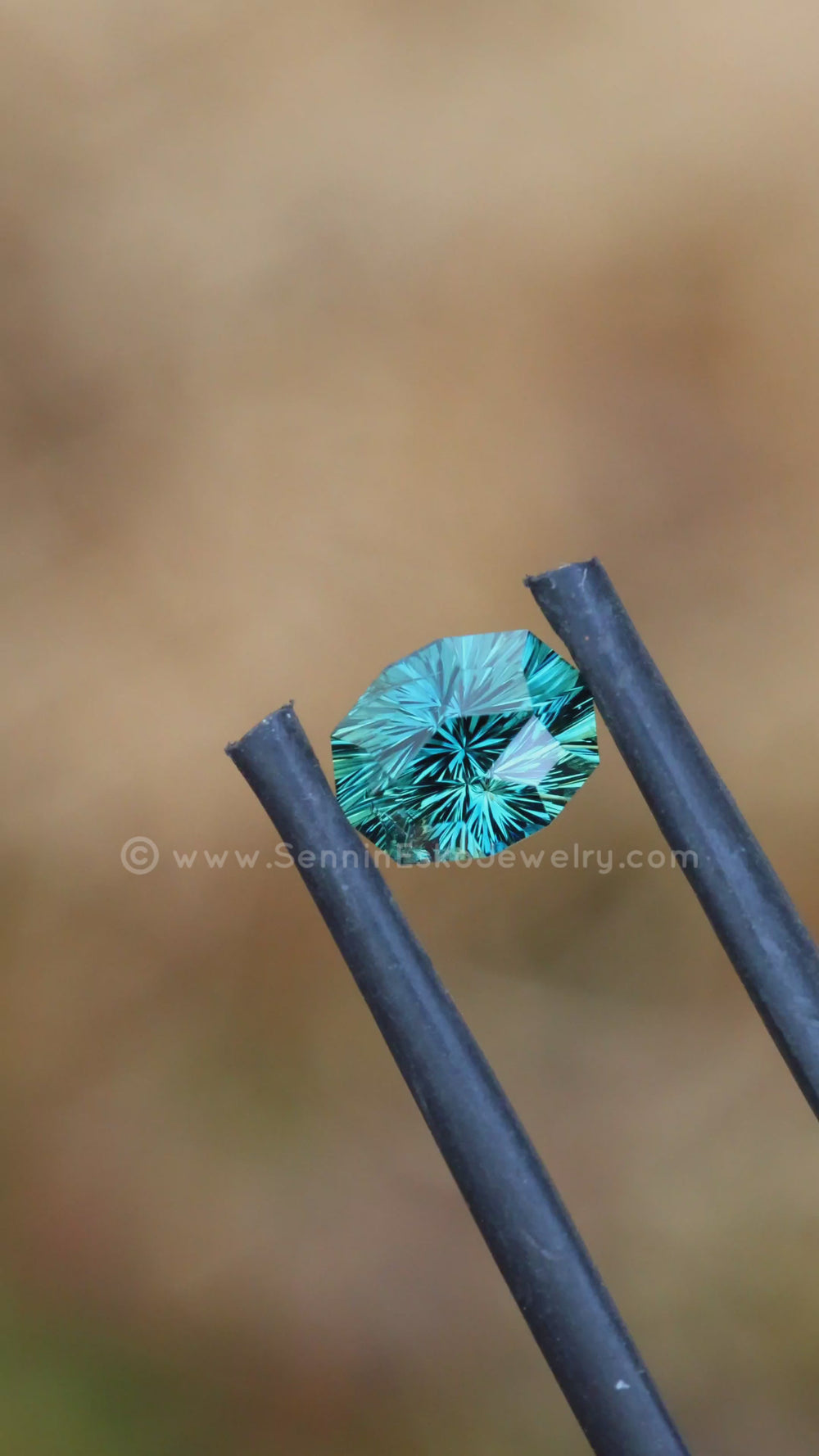 1.2 Carat Teal Sapphire Decagon - 6.9x5.2mm - Esko Universe Cut ™