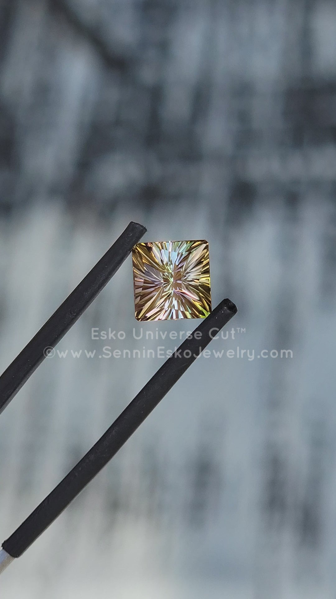 2.46 Carat Tri Color Tourmaline - 7.1x9.7mm - Esko Universe Cut ™