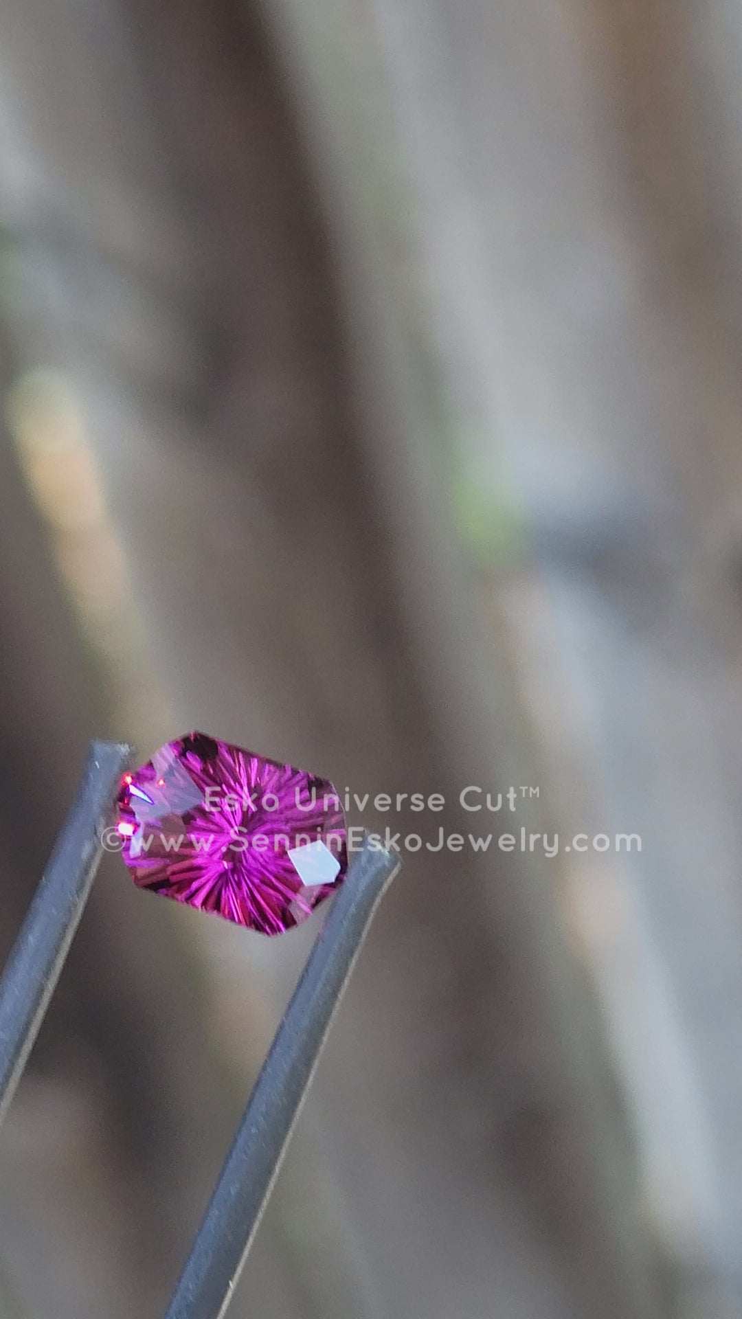 2.82 Carat Garnet Hexagonal Cushion - 9.6x6.4mm - Esko Universe Cut ™
