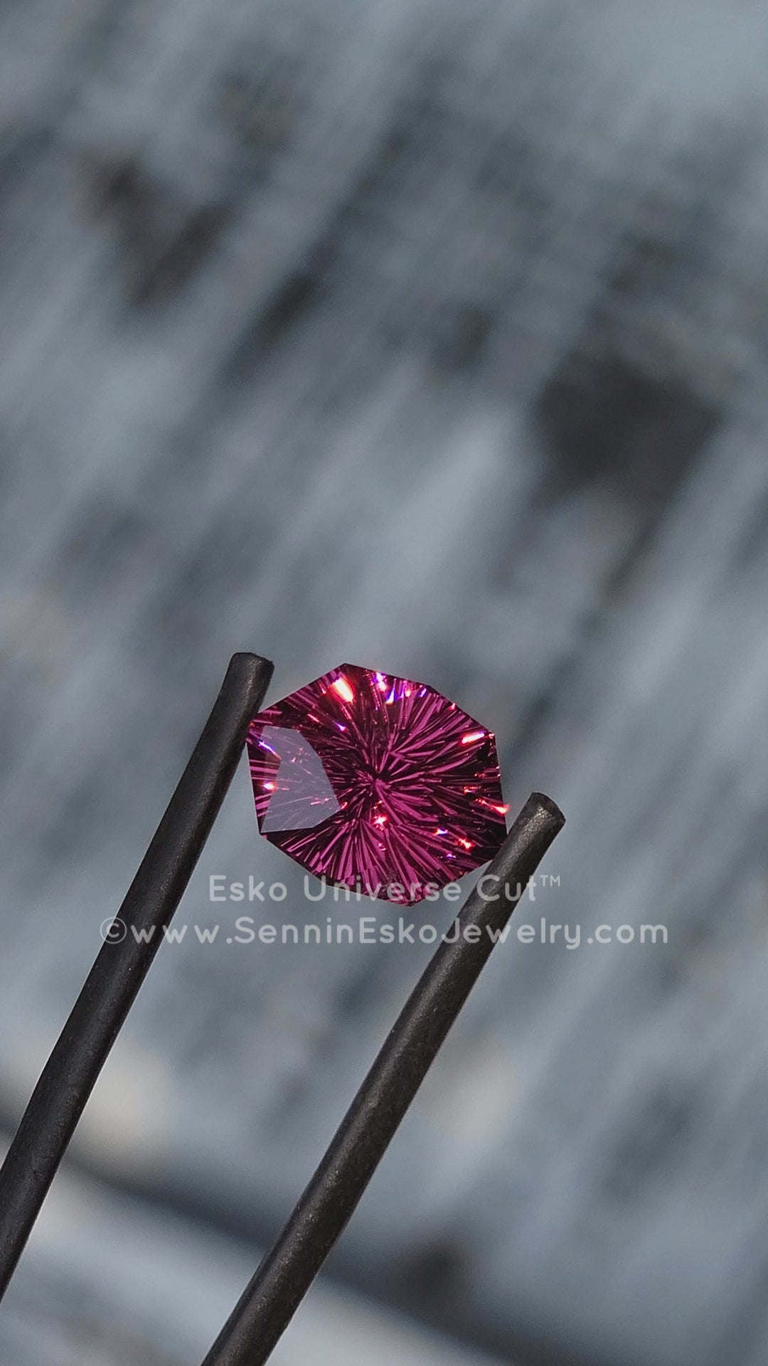 4.6 Carat Garnet Hexagonal Cushion - 11.7x8.8mm - Esko Universe Cut ™
