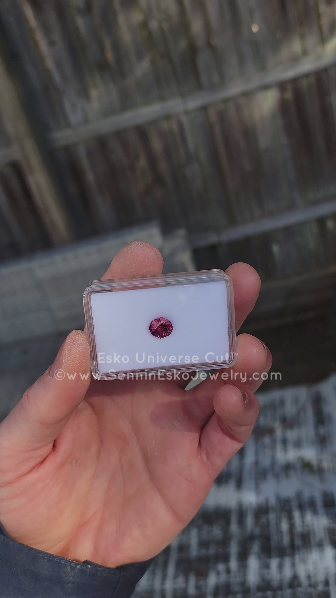 3.2 Carat Malawi Garnet Octagon - 9.5x8.6mm - Esko Universe Cut ™