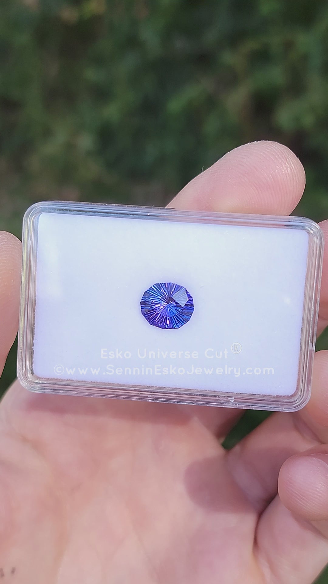 3.3 Carat Blue/Purple Tanzanite Oval - 10.5x9.1mm - Esko Universe Cut ®