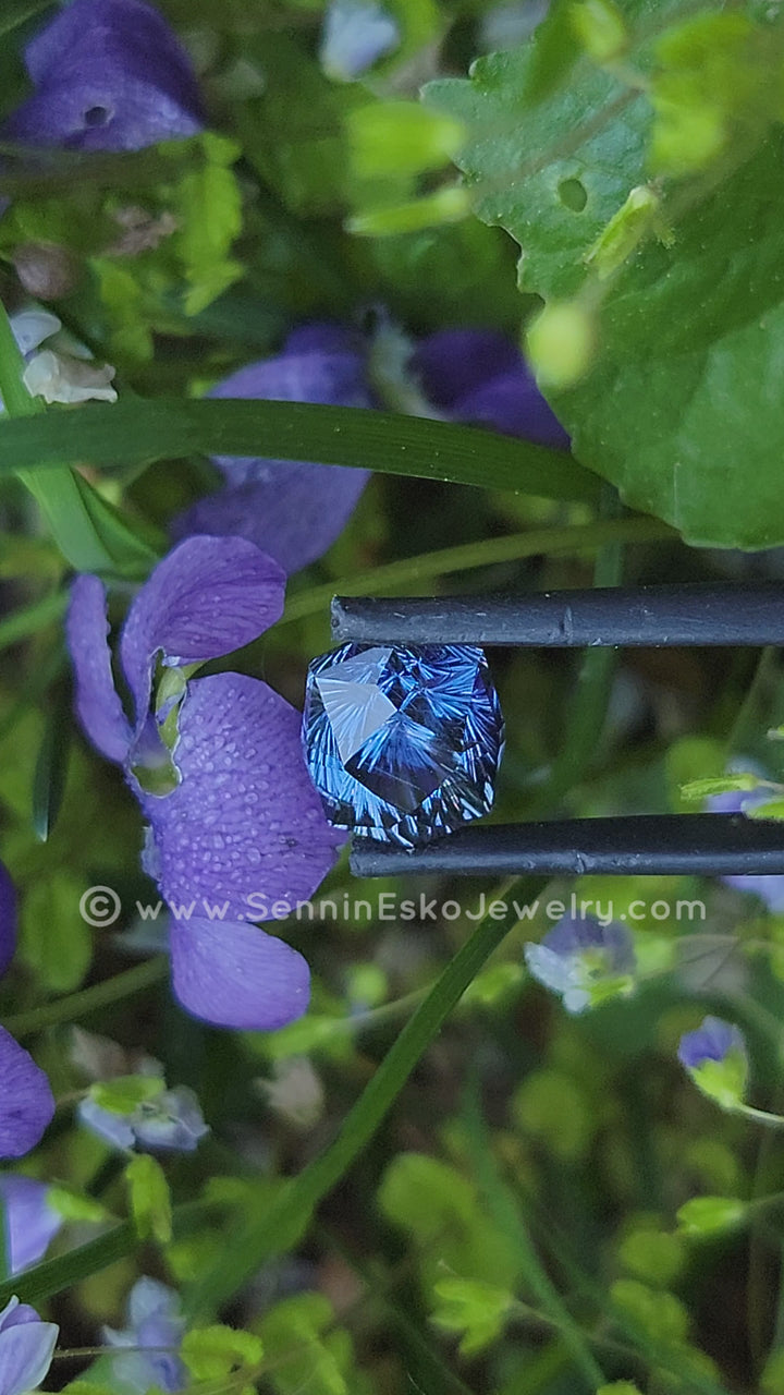 6,52 ct violettblauer Umba-Saphir Zwölfeck – 10,9 x 9,1 mm, Fantasy-Schliff