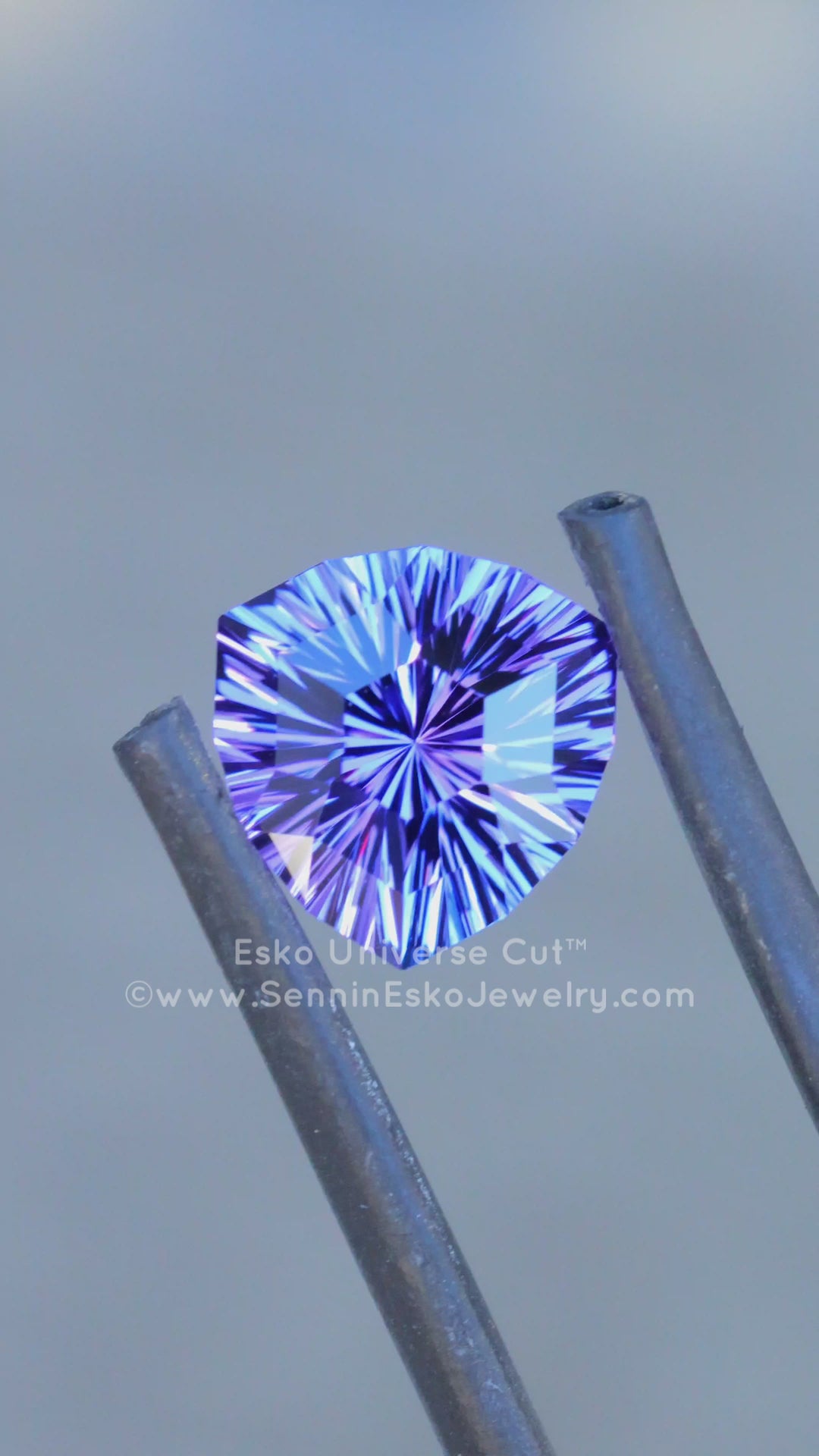 3 Carat Tanzanite Trillion - 9x8.4mm - Esko Universe Cut ™