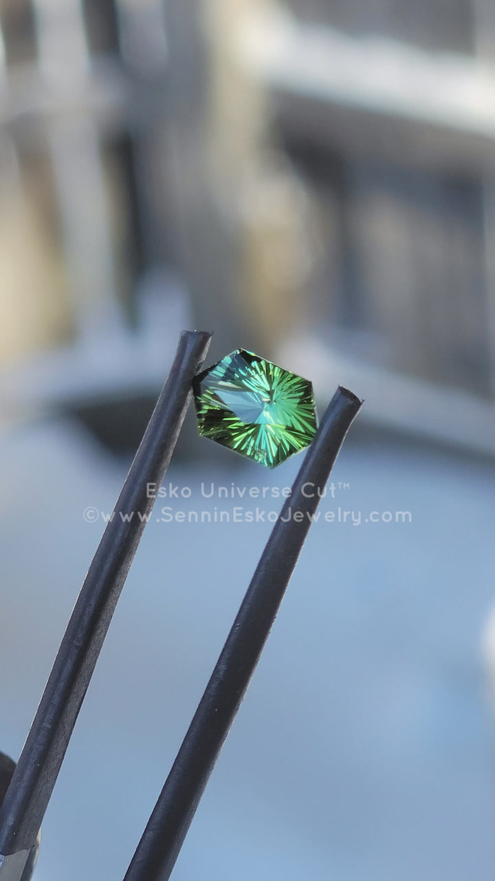 1.7 Carat Mint Green Tourmaline Hexagon - 8.7x5.9mm - Esko Universe Cut ™