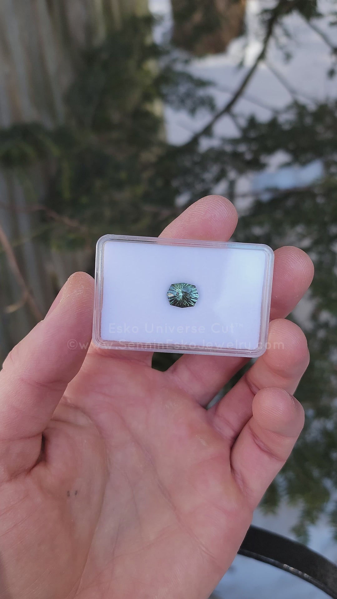 3.9 Carat Spring Green Tourmaline Octagon - 10.6x8.3mm - Esko Universe Cut ™