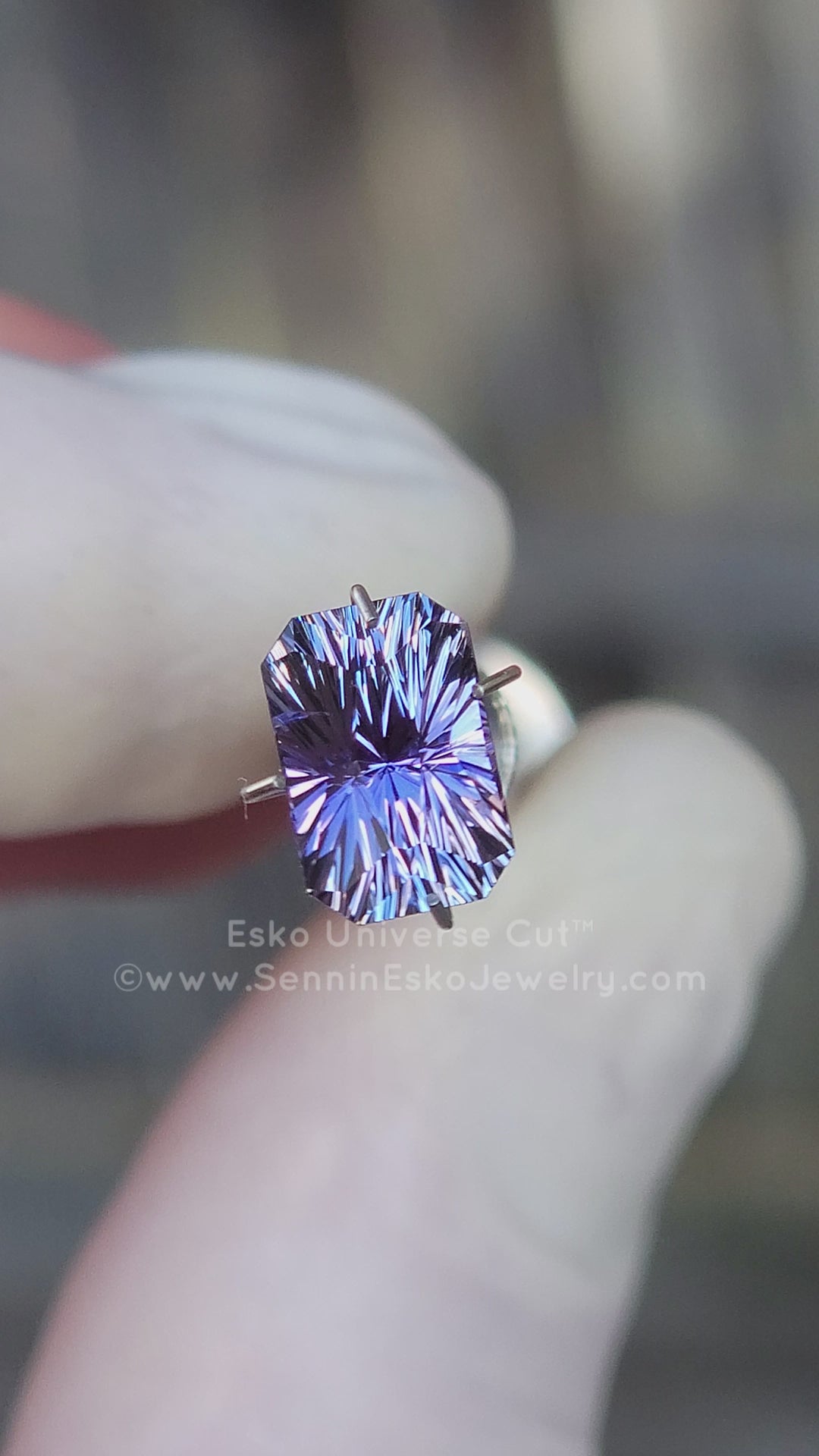 2.94 Carat Indigo Tanzanite Octagon - 9.3x6.2mm - Esko Universe Cut ™