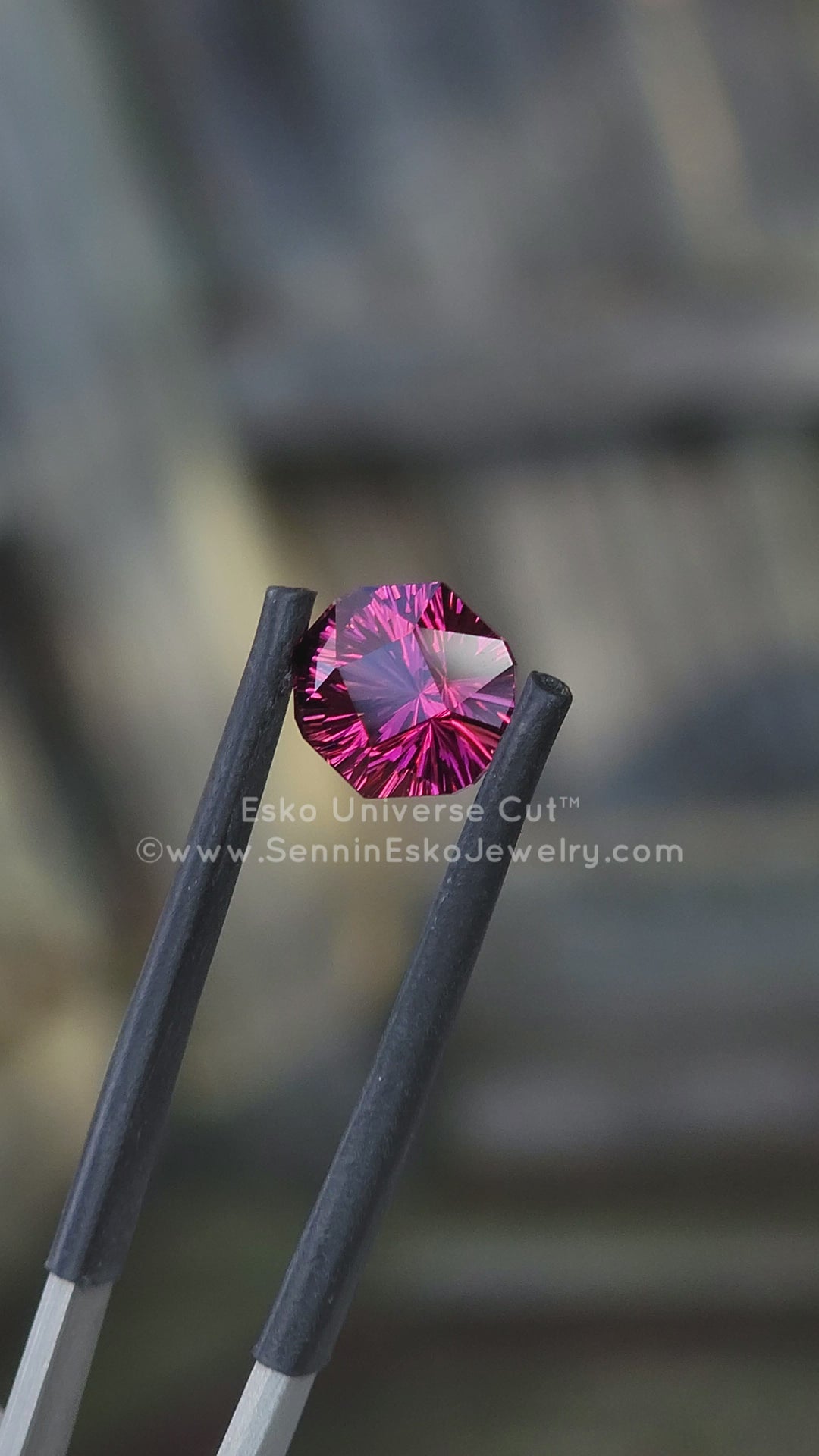 3.2 Carat Malawi Garnet Octagon - 9.5x8.6mm - Esko Universe Cut ™