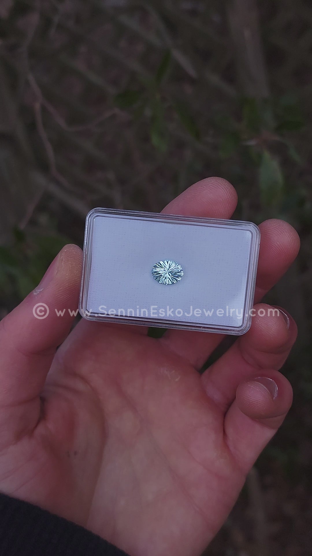 2.9 Carat Icy Blue Aquamarine Dodecagon -  10.7x8.4mm - Esko Universe Cut ™