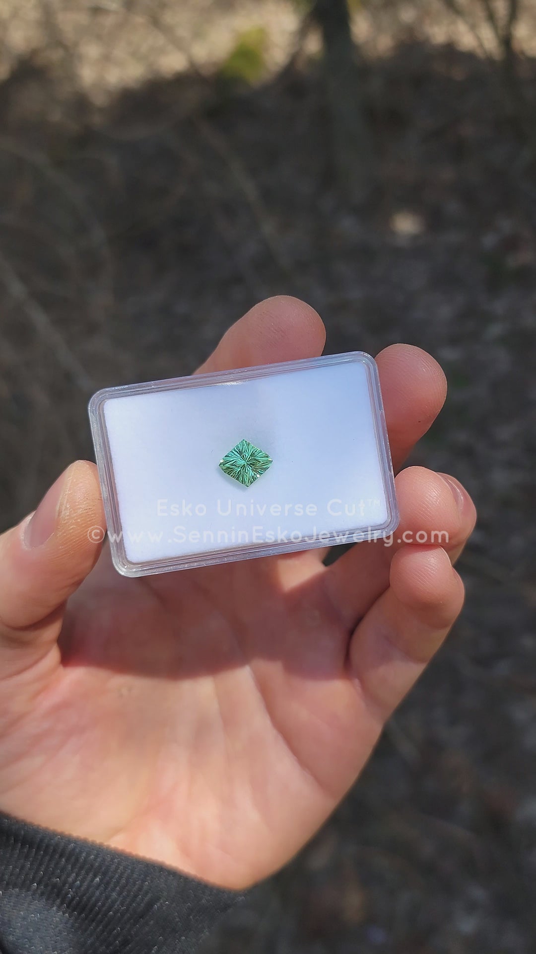 3.33 carat Light Green Tourmaline Octagon - 10.7x9.5mm - Esko Universe Cut ™